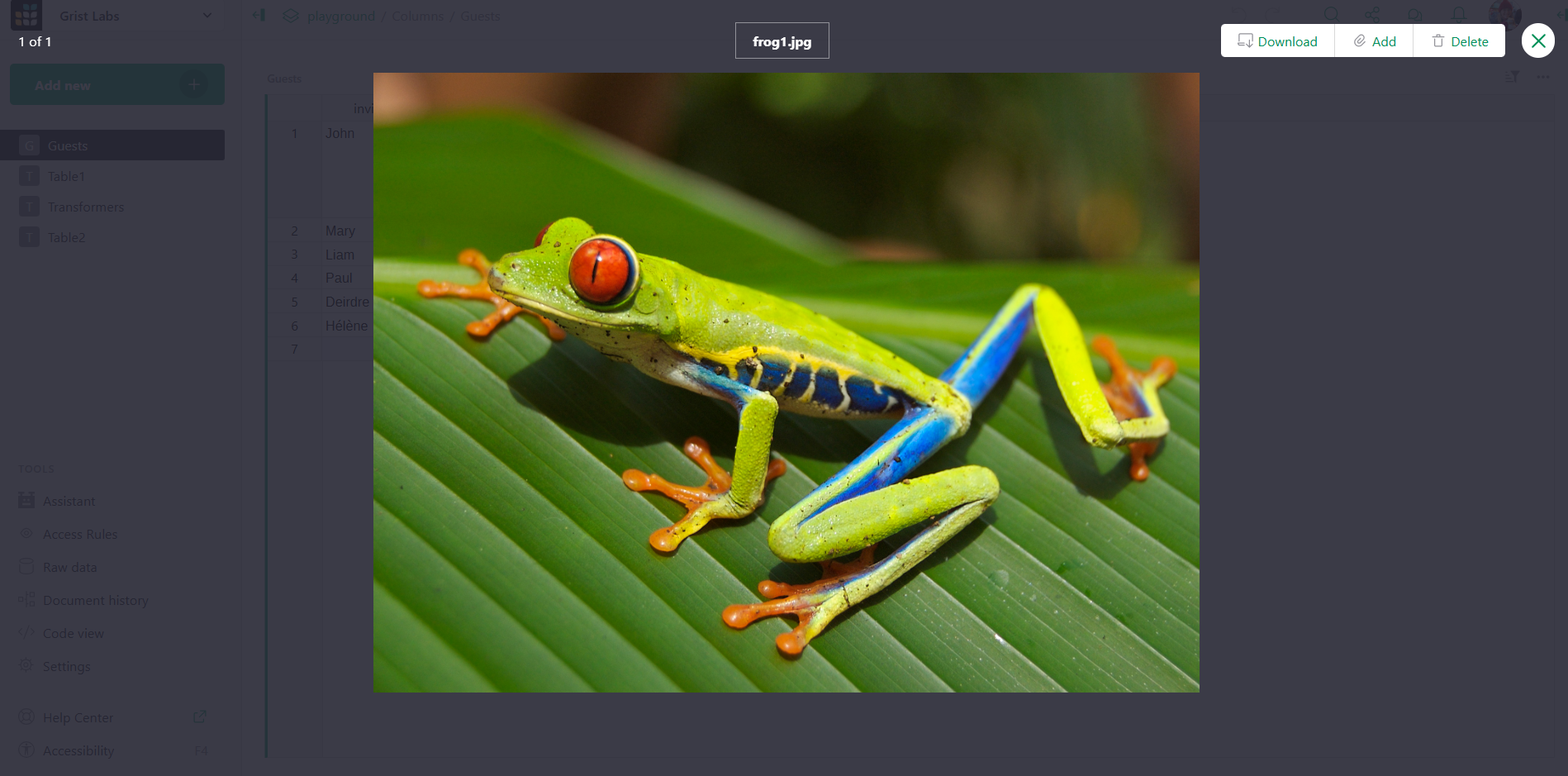 Image browser